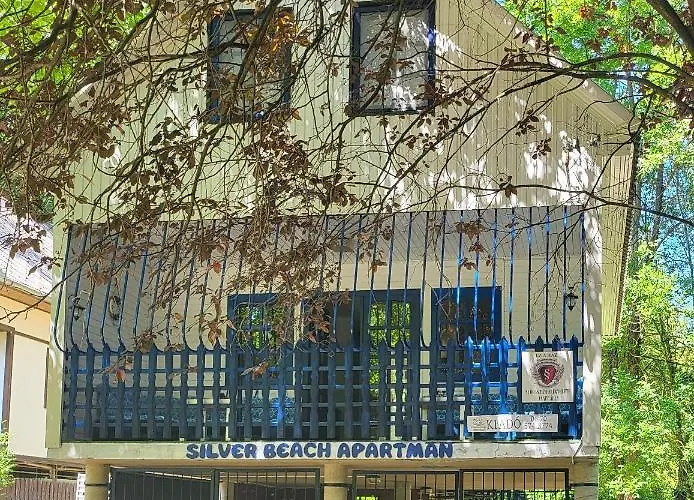 Silver * Vásárosnamény